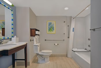 Room, 1 King Bed, Accessible, Microwave (Mobility and Hearing)