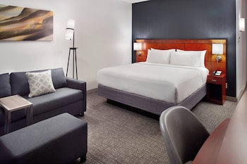 Room, 1 King Bed with Sofa bed (Hearing Accessible)