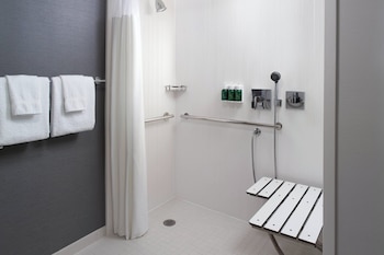 Room, 1 King Bed with Sofa bed (Mobility Accessible, Roll-in Shower)