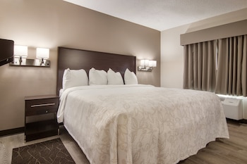 Standard Room, 1 King Bed, Accessible (Smoke Free)
