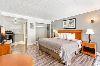 Premium Single Room, 1 King Bed, Non Smoking