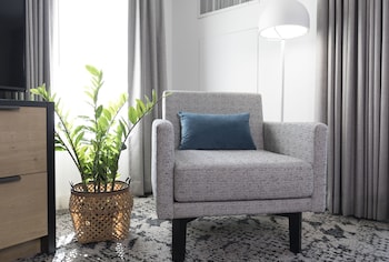 Suite, 1 Bedroom, King