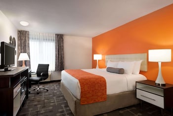 Room, 1 King Bed