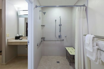 Room, 1 King Bed, Roll-in Shower