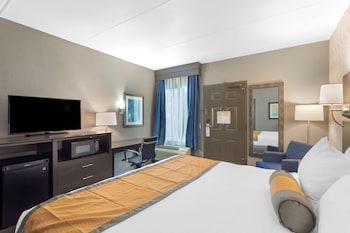 Standard Room, 1 King Bed, Non Smoking, Refrigerator & Microwave (1st Floor;Pet Friendly)
