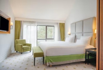 Duplex, 1 King Bed, Lake View