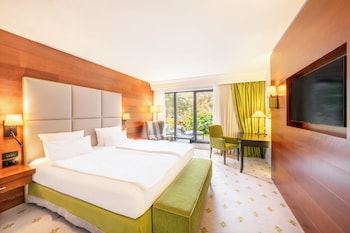 Room, 1 King Bed, Terrace, Lake View