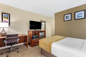 Single Room, 1 Queen Bed, Non Smoking