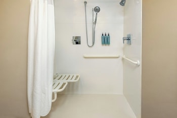 Room, 1 King Bed with Sofa bed (Mobility/Hearing Access, Roll-In Shwr)