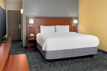 Room, 1 King Bed with Sofa bed (Hearing Accessible)