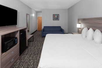 Room, 1 King Bed with Sofa bed, Non Smoking