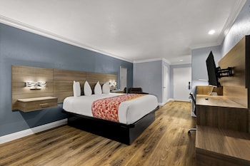 Standard Room, 1 King Bed, Accessible, Non Smoking