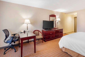 Standard Room, 1 King Bed, Non Smoking, Refrigerator