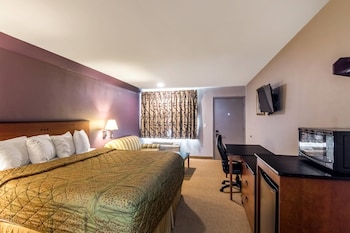 Room, 1 King Bed, Smoking (Pet Friendly)
