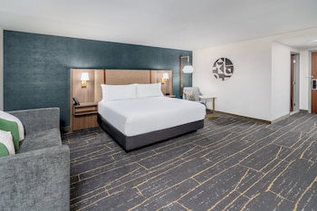 Suite, 1 King Bed (King)