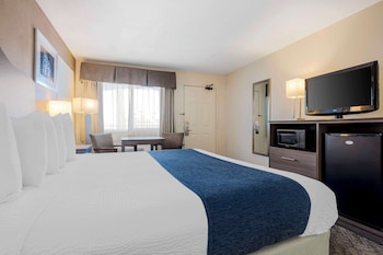 Standard Room, 1 King Bed, Non Smoking, Microwave