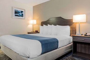 Suite, 1 King Bed, Non Smoking, Refrigerator & Microwave