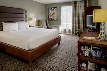 Room, 1 King Bed