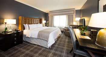 Room, 1 King Bed