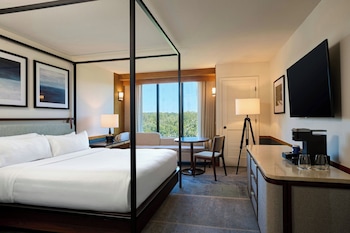 Deluxe Room, 1 King Bed, Partial Lake View