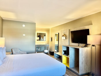Room, 1 King Bed, Non Smoking