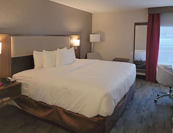 Standard Room, 1 King Bed, Non Smoking