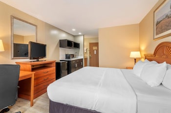 Room, 1 King Bed, Non Smoking