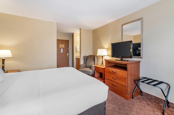 Standard Room, 1 King Bed, Non Smoking