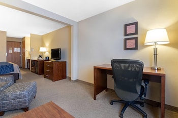 Suite, 1 King Bed with Sofa bed, Non Smoking