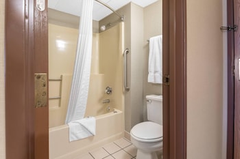 Suite, 1 King Bed with Sofa bed, Non Smoking