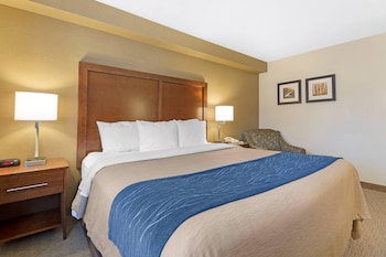 Room, 1 King Bed, Accessible, Non Smoking