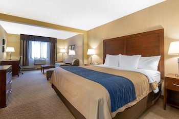 Suite, 1 King Bed with Sofa bed, Non Smoking