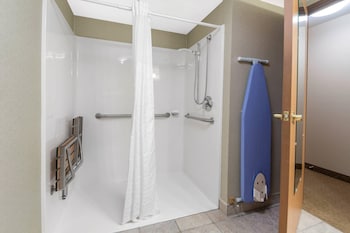 Room, 1 King Bed, Accessible, Non Smoking (Roll-In Shower)