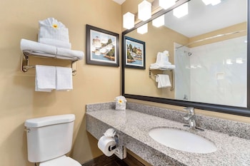 Standard Room, 2 Queen Beds, Non Smoking, Refrigerator & Microwave