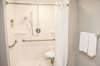 Standard Room, 1 King Bed, Accessible (Mobility, Roll-In Shower)