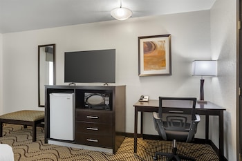 Standard Room, 1 Queen Bed, Accessible, Non Smoking (Walk-in Shower)
