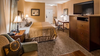 Standard Room, 1 Queen Bed, Non Smoking (Larger Room;with Sofabed)