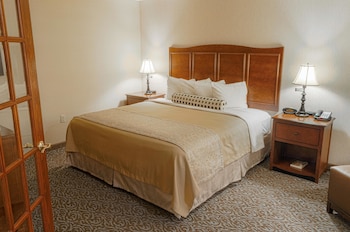Suite, 1 King Bed, Non Smoking, Kitchenette (Walk-in Shower;with Sofabed)