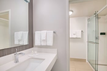 Room, 1 King Bed (Mobility/Hearing Access, Roll-In Shwr)