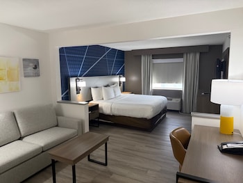 Suite, 1 King Bed with Sofa bed, Accessible, Non Smoking