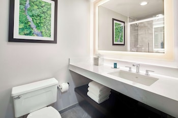 Room, 1 King Bed, Accessible (Mobility & Hearing, Roll-in Shower)