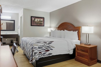 Superior Room, 1 King Bed, Smoking