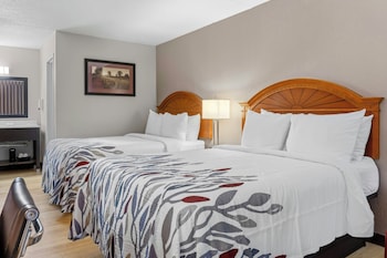 Deluxe Room, 2 Double Beds, Non Smoking