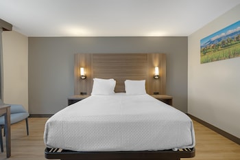 Standard Room, 1 Queen Bed, Non Smoking, Refrigerator & Microwave