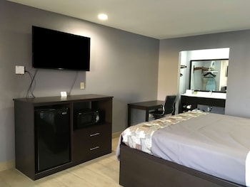 Room, 1 King Bed, Smoking