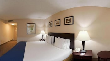 Room, 1 King Bed, Accessible (Communications Accessible)