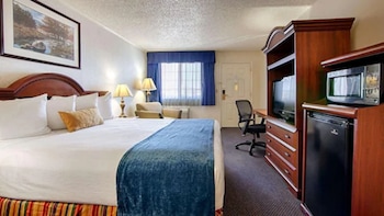 Standard Room, Accessible, Refrigerator & Microwave