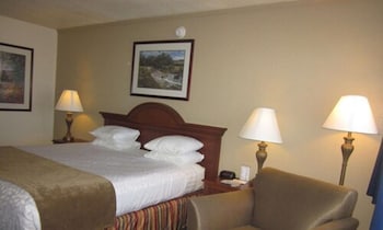 Standard Room, Accessible, Refrigerator & Microwave