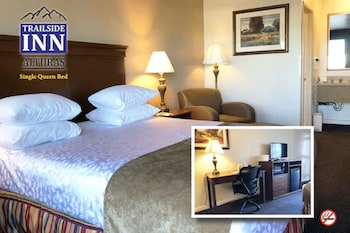 Standard Room, Accessible, Refrigerator & Microwave
