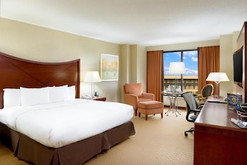 Room, 1 King Bed (Dual Rain Shower)